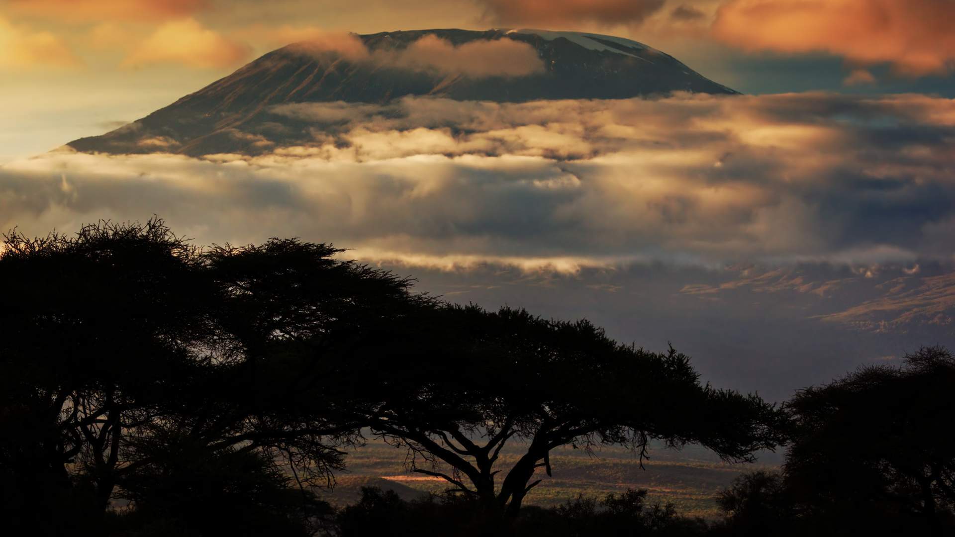 kilimanjaro alpine desert zone